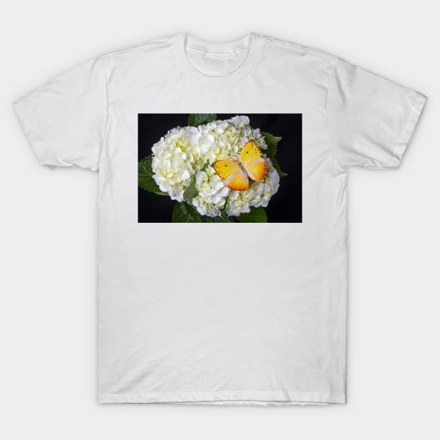 Yellow Butterfly On White Hydrangea T-Shirt by photogarry